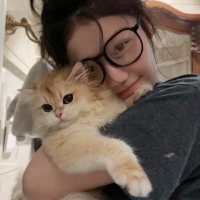 多情猫